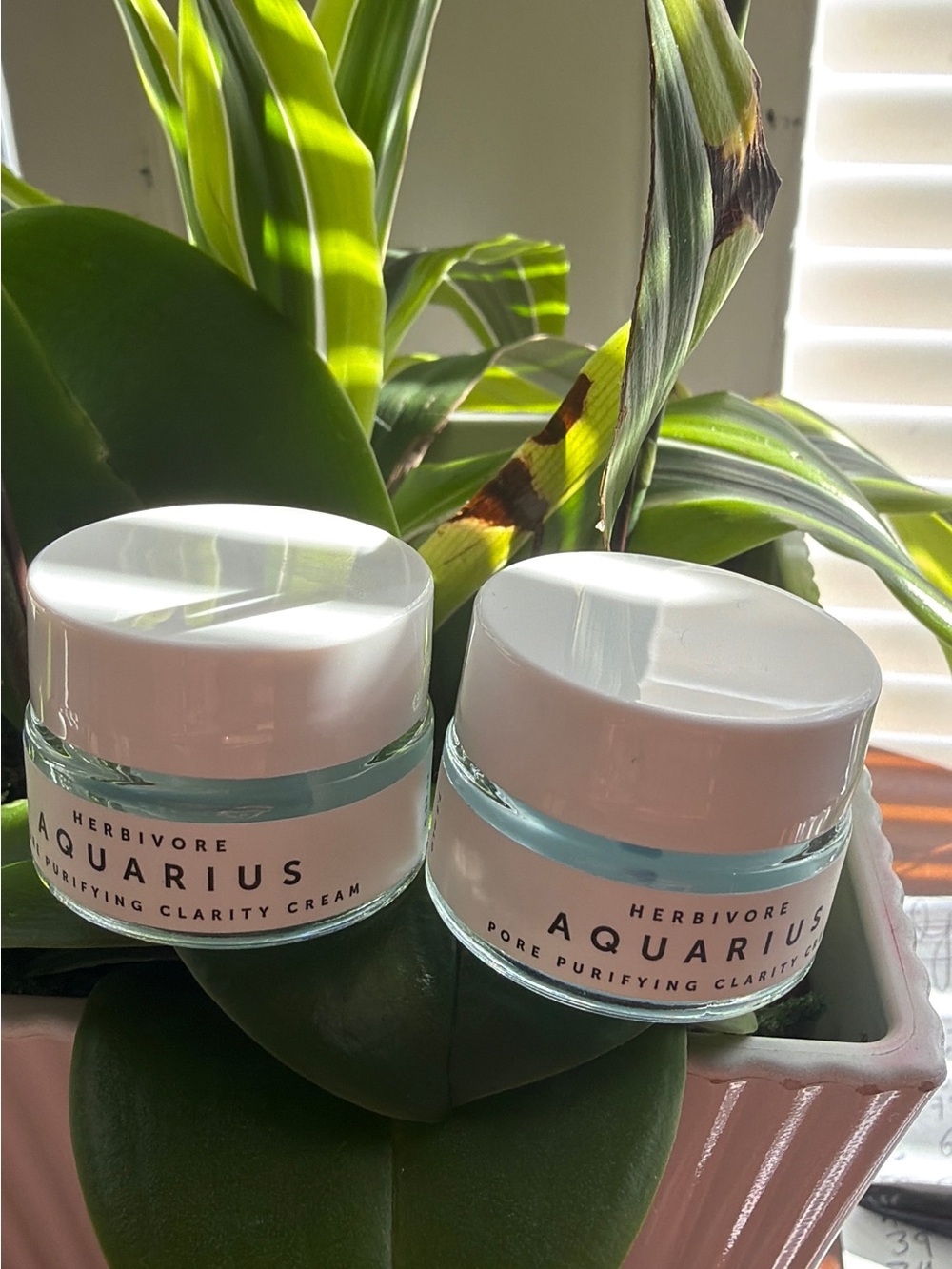 Set 2 ,Aquarius Pore Purifying Clarity Cream - White/Light Aqua 0.5 fl oz x 2